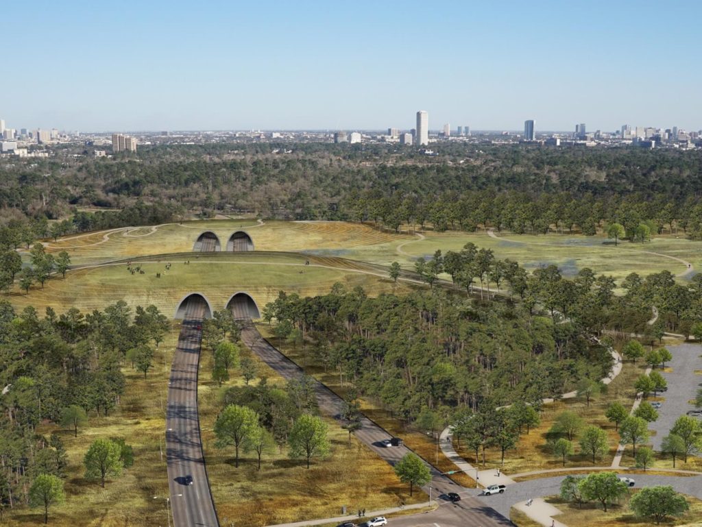 Memorial Park's New Eastern Glades Provides An Urban Wilderness Near  Downtown Houston – Houston Public Media